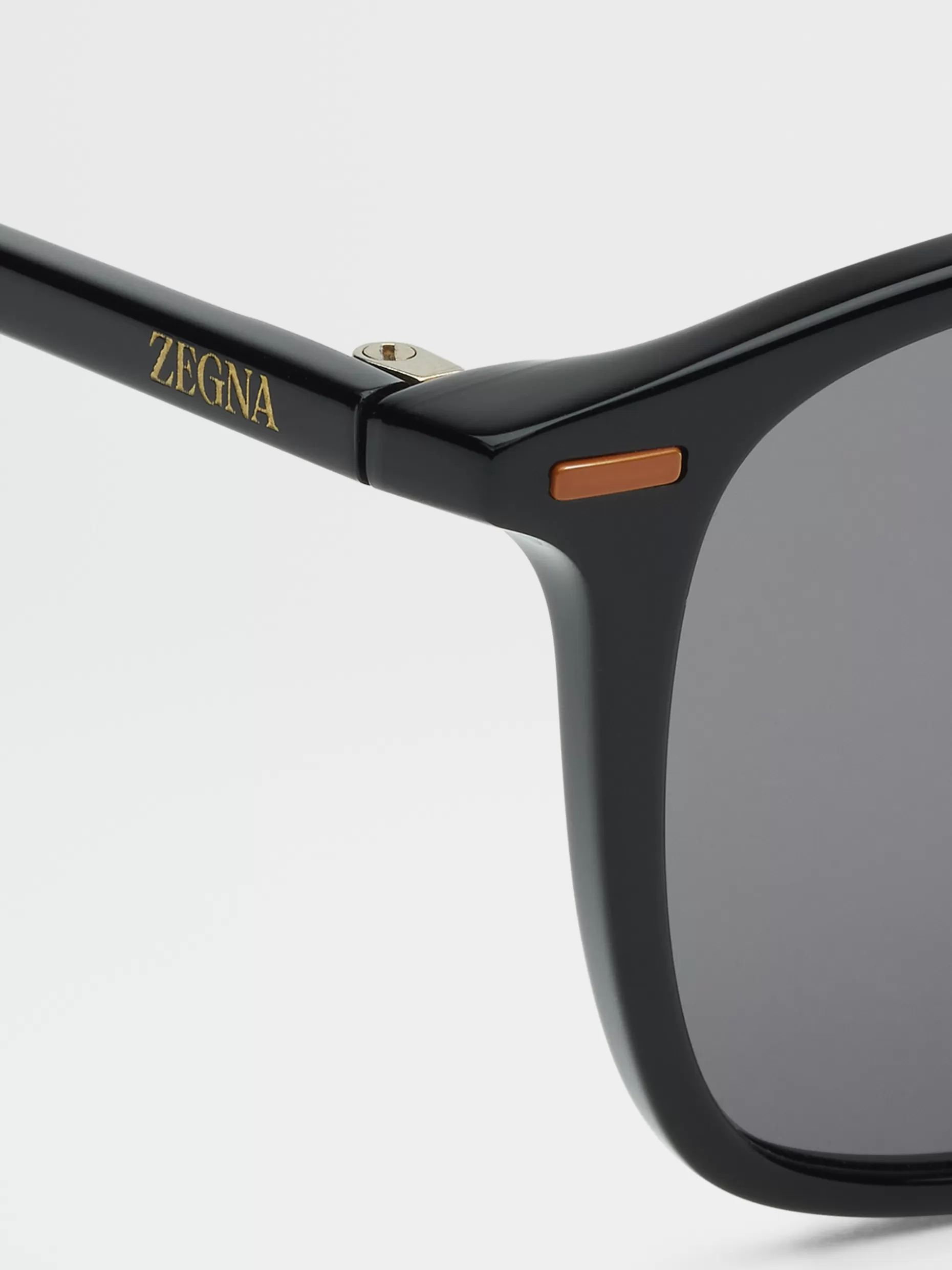 Men ZEGNA Acetate Leggerissimo Sunglasses