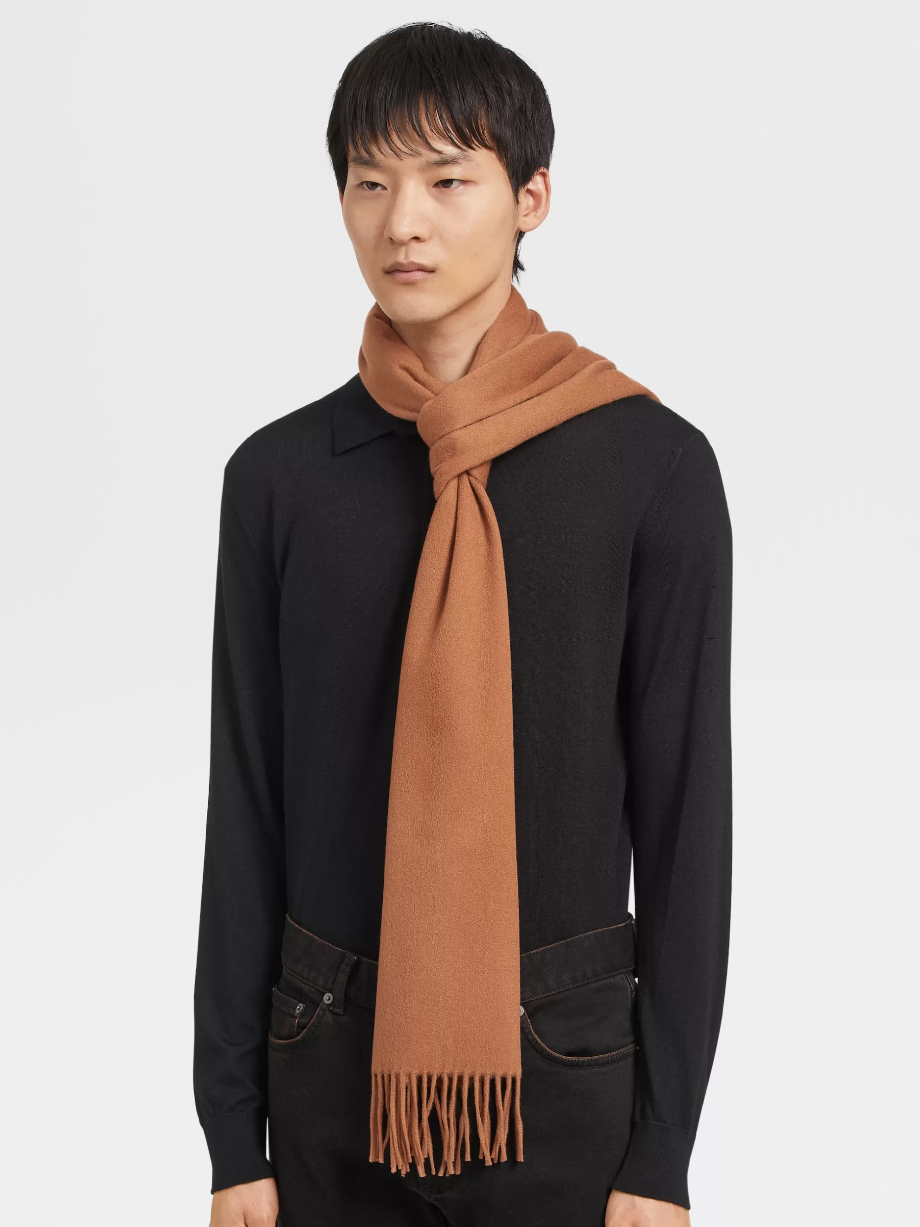 Men ZEGNA Color Cashmere Scarf