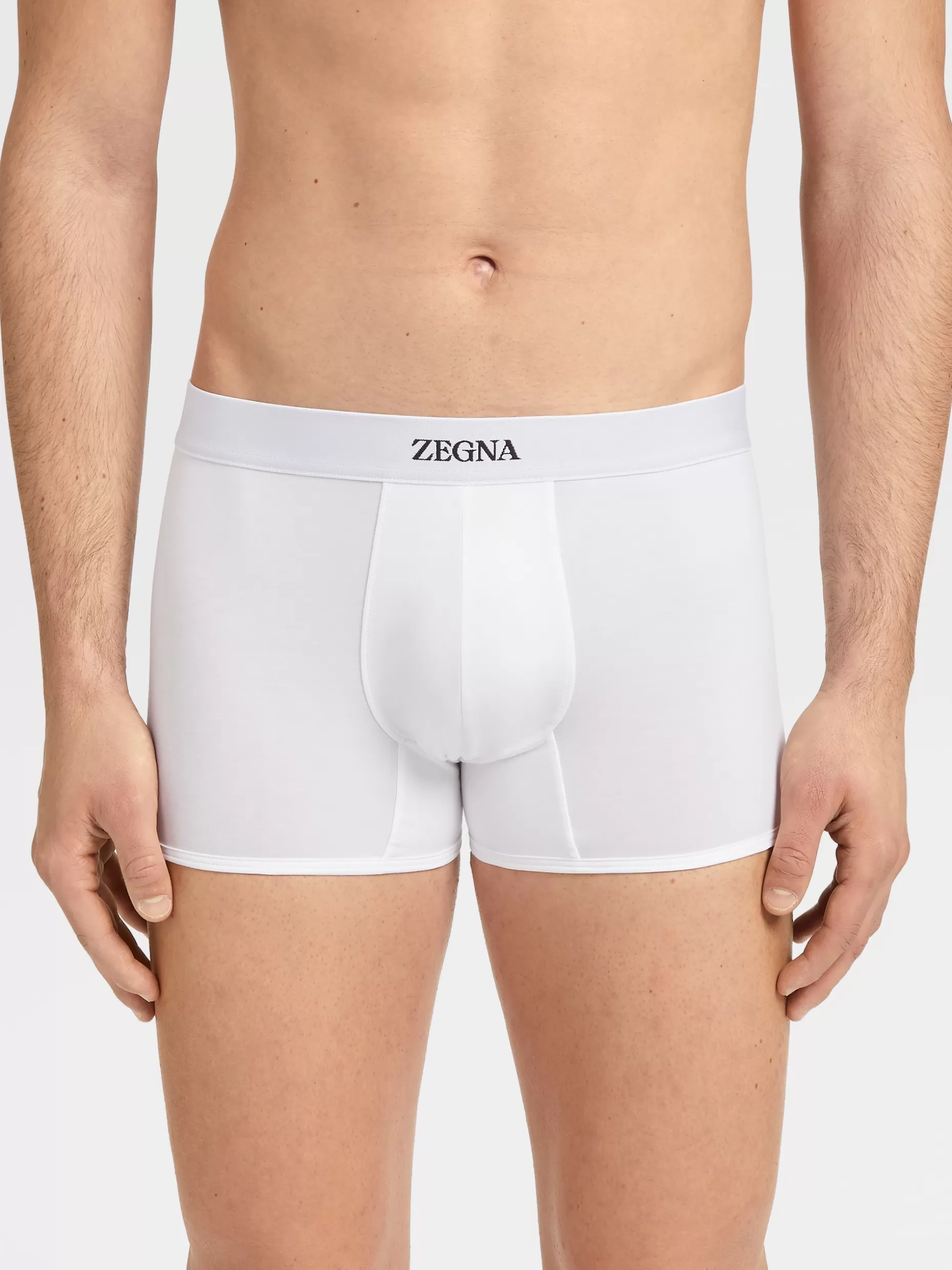 Men ZEGNA Cotton Trunks