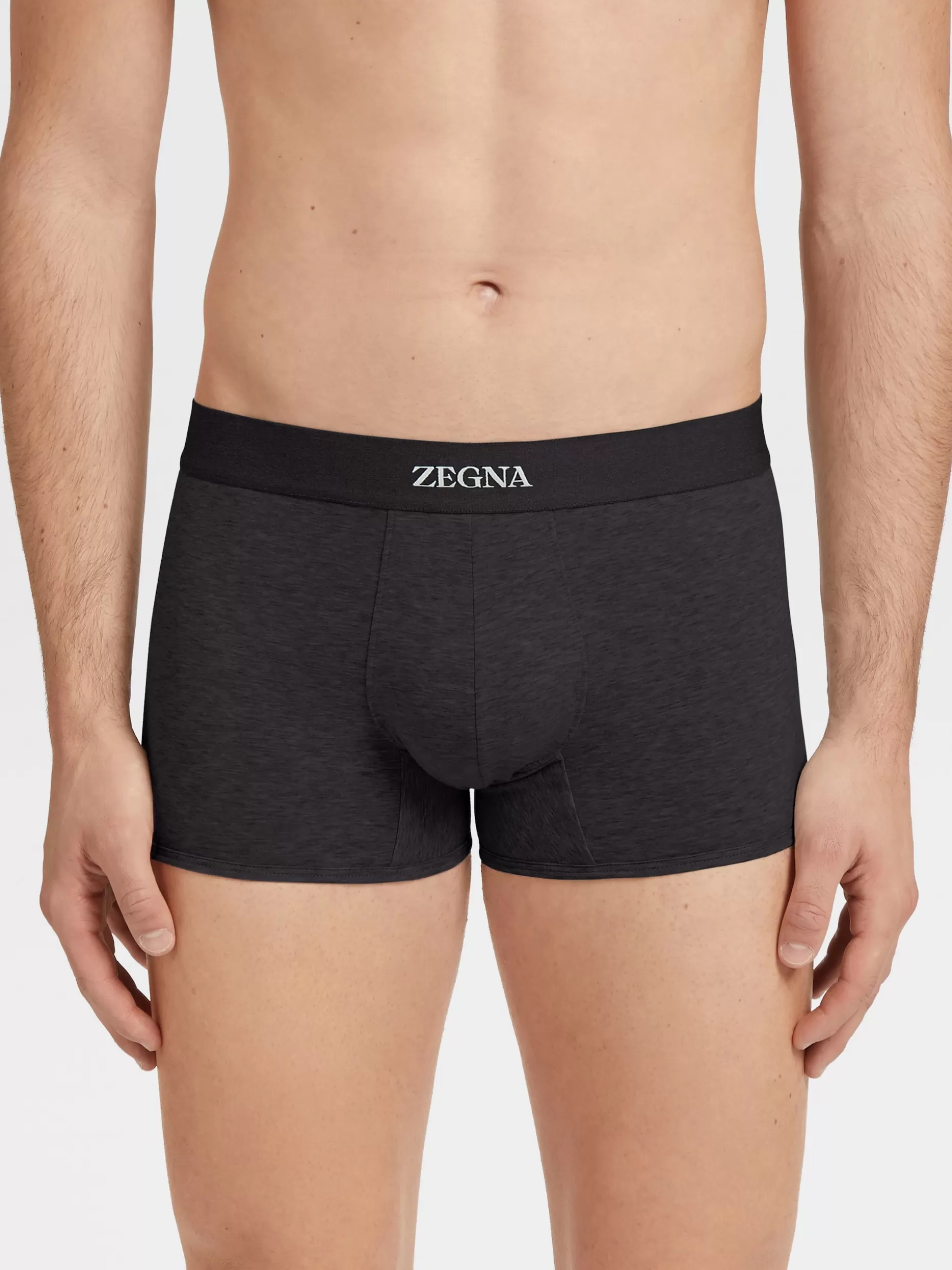 Men ZEGNA Cotton Trunks