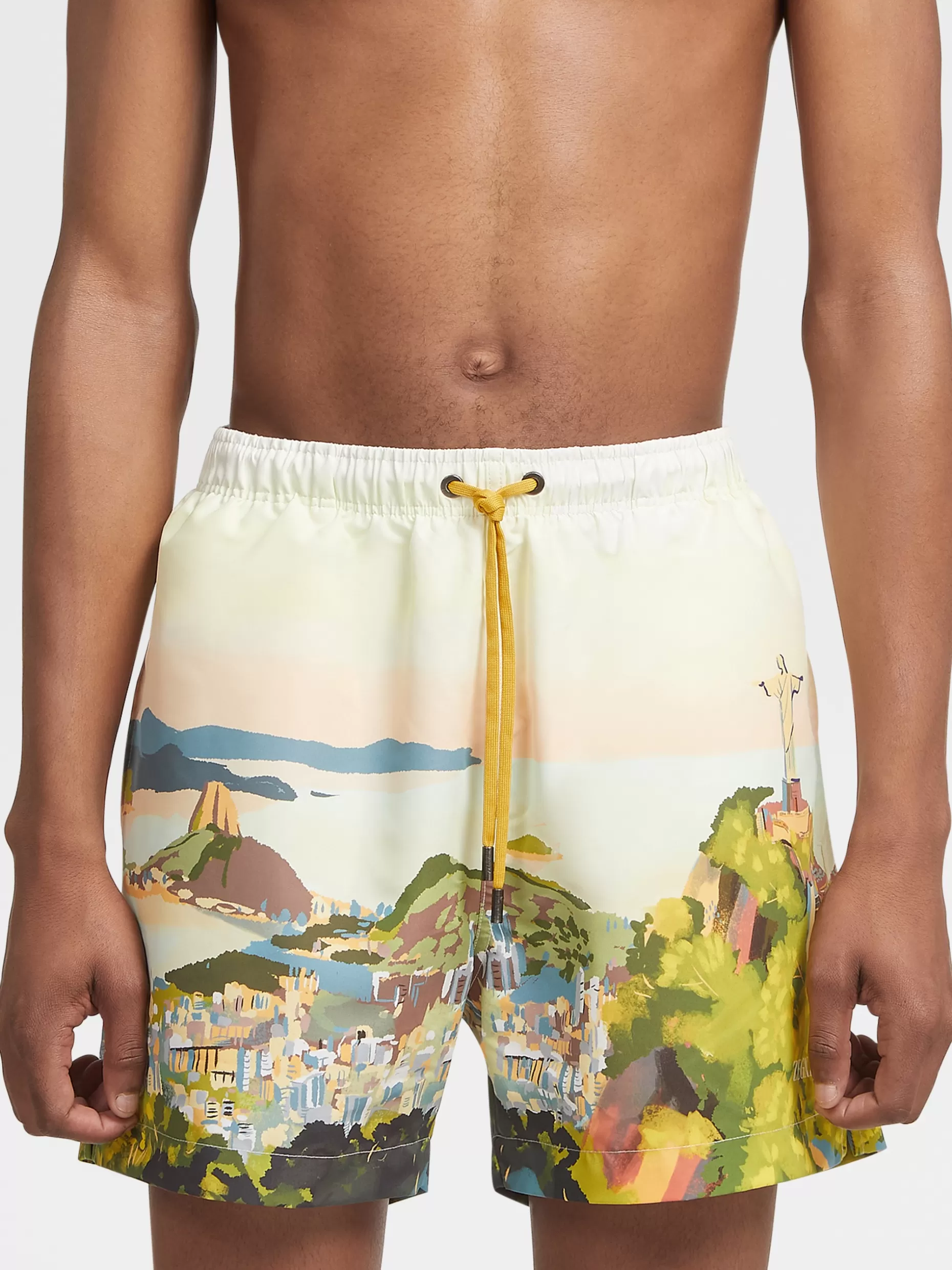 Men ZEGNA Rio De Janeiro Watercolor Swim Boxers