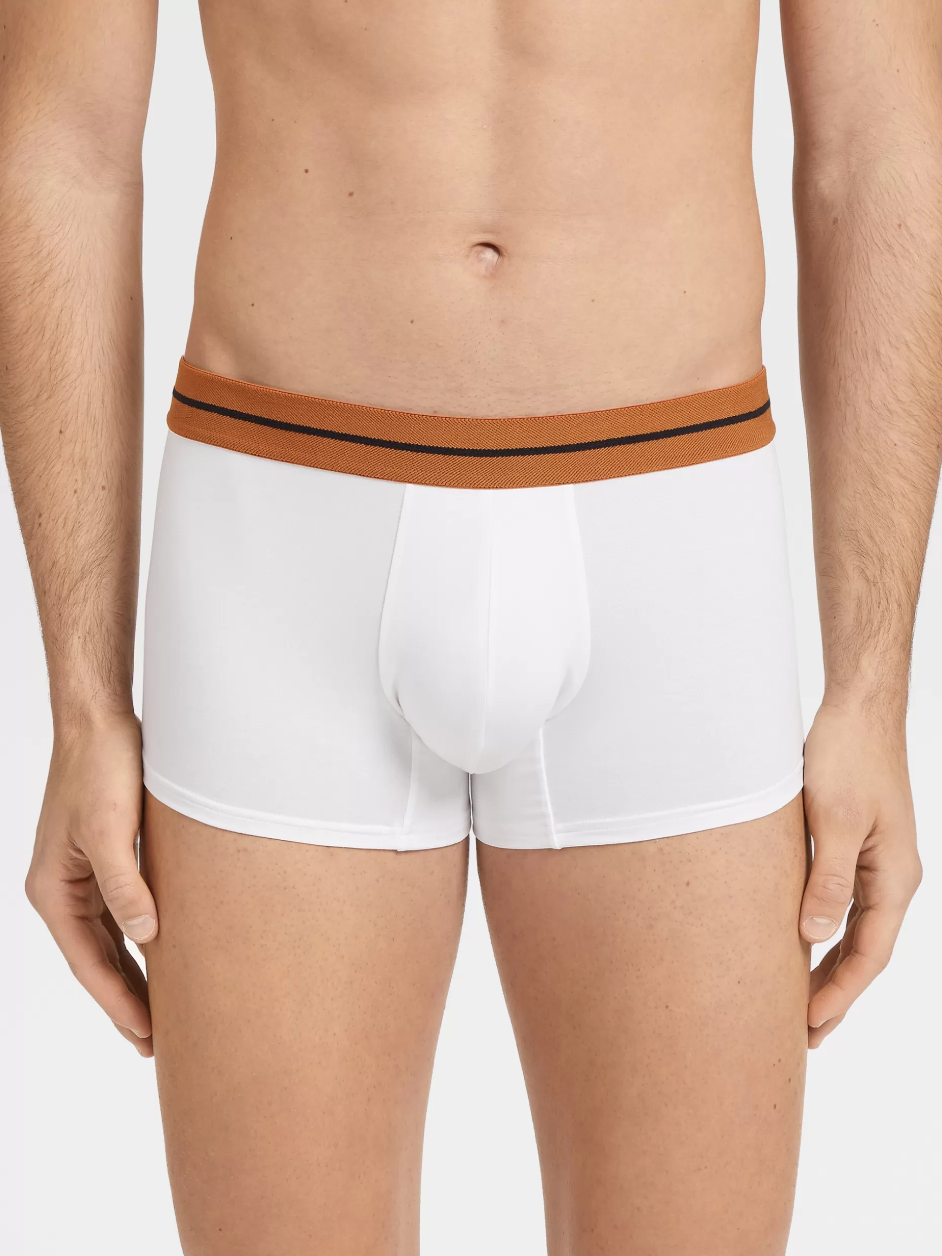 Men ZEGNA Stretch Modal Trunks